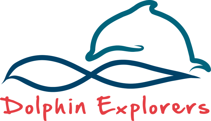 DolphinExplorers